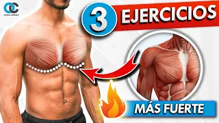 ¡Los 3 ÚNICOS EJERCICIOS DE PECHO que debes hacer ya!