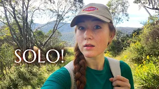 Climbing the highest peak of Australia | Canberra city & Mt. Kosciuszko vlog