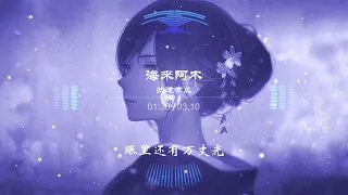 归途有风 海来阿木【lyrics 动态歌词】