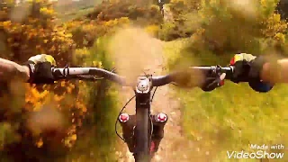 Sidlaws, Dundee. Downhill Mtb