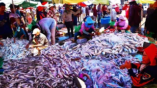 Fish Market Scenes and People Activities  Largest Fish Distribution in Cambodia