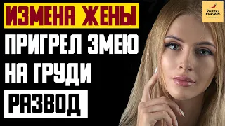 Рассказ мужчины | Измена жены. Пригрел змею на груди. Развод. Реальная история