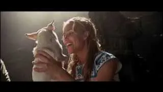 BEVERLY HILLS CHIHUAHUA - Behind the Scenes 1