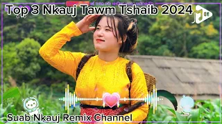 Top 3 Nkauj Tawm Tshaib 2024 (Suab Nkauj Remix Channel)