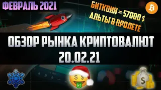 Обзор рынка криптовалют 20.02.21. Февраль 2021. Биткоин по 57000$, откат по альте