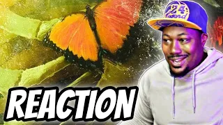 Halsey -( Without Me ) ft. Juice WRLD *REACTION!!!*