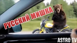 ЛУЧШИЕ ПРИКОЛЫ | BEST EPIC VIDEOS 2015 #25