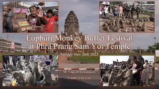 Monkey Buffet Festival at Lopburi - งานเลี้ยงลิงลโต๊ะจีน-  Nov 26th 2023  - by David Found