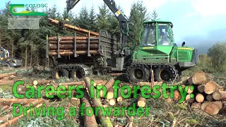 driving a forwarder