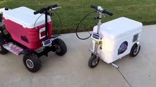 Best motorized cooler to buy?