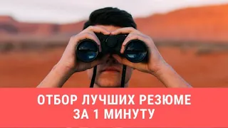 Отбор лучших резюме на hh.ru за 1 минуту