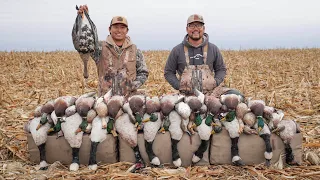 5 MAN LIMIT Duck and Goose Field Hunt! (Bonus Specklebelly Goose)