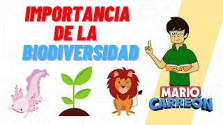 🐟 Importancia de la Biodiversidad 🐆