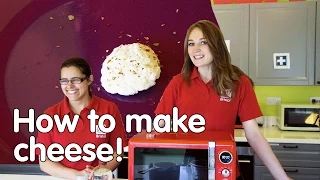 How to make cheese | Do Try This At Home | We The Curious