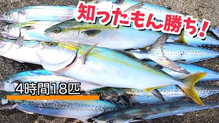 桁違いに釣れるヤバい釣り方全部お見せします