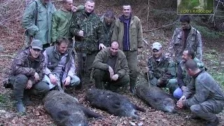 Lov i ribolov - Nacionalni park Sutjeska - Lov divlje svinje - Wild boar hunting