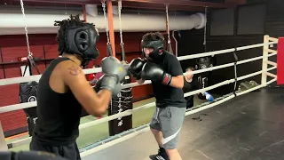 Sparring (17 May 2024)