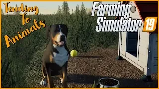 NEW FS19 TRAILER | Tending to Animals Gameplay | Farming Simulator 19