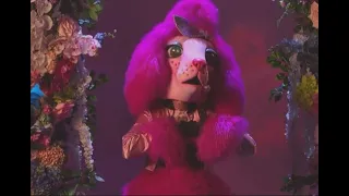 Poodle sings "Somewhere Only We Know" by Keane | The Masked Singer Australia Season 4