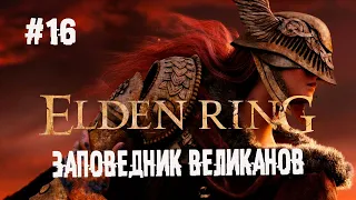 Есть один надёжный план... ► 16 Прохождение Elden Ring