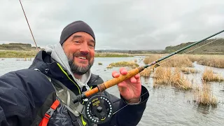 Not What I Expected to Find in This Flooded Creek (Fly Fishing)