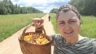 Приехали стройматериалы для пристройки. Активно собираем дары природы)).