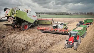 🇵🇱Ekstremalne Żniwa Pszenicy 2021㋡14WTOP!!?㋡ John Deere Bokiem㋡POŻAR?!㋡Lubelskie Agro Team㋡