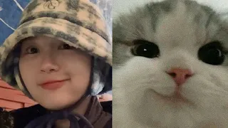 siyeon giving cat energy 🐱 고양이 이시연