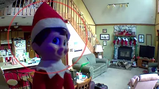 5 times ELF ON THE SHELF caught moving on camera 2023