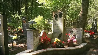Северное кладбище. Памятник актеру Павлу Луспекаеву (Верещагину)