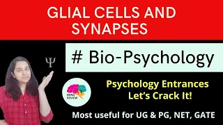 Glial Cells & Synapses| Bio-Psychology| Psychology Entrances| Mind Review