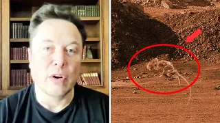 Elon Musk Talks About New Mars Discovery 2022