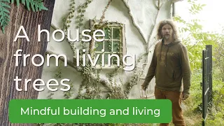 A House built from Living Trees is truly Nature's Architecture (house burnt down, check gofundme)