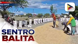 Palay ng mga magsasaka, binibili na ng NFA sa mas mataas na presyo