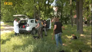 У Полтаві вакцинують тварин проти сказу