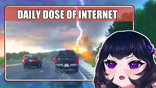 ErinyaBucky reacts to Daily Dose of Internet