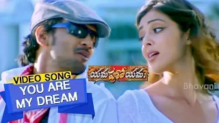 You Are My Dream Video Song | Yamaho Yama Video Songs | Sairam Shankar, Sanjjanaa, Parvati Melton