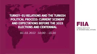 Turkey-EU relations and the Turkish political process