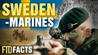 10+ Incredible Facts About The Sweden Marines (Amfibiekåren)