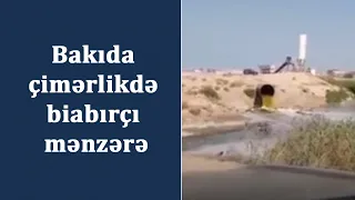 Bakıda çimərlikdə biabırçı mənzərə