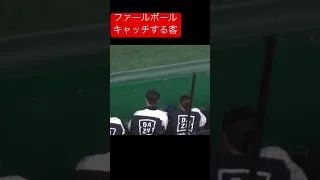 巨人広島線でファールボールを捕ってしまう客を現地から2024/4/13 #プロ野球 #野球