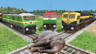 Three Trains vs Sleeping Elephant 🐘- Stops the Train | Train Simulator