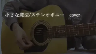 小さな魔法/ステレオポニー　(Streopony)　cover