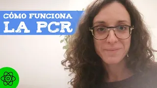 ¿Qué es la PCR y para qué sirve? 😷 Usos de la prueba PCR