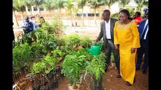 NWSC/Y.W.Ps LAUNCHES 1 MILLION TREE CAMPAIGN.