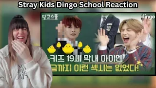 STRAY KIDS DINGO SCHOOL SEXY DANCE IS CHAOTIC - skz Dingo school reaction