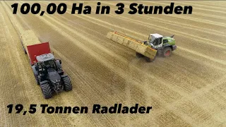 6 Ballen auf einmal! Strohbergung m. 19,5 Tonnen Radlader wir schaffen zu 3. 100 ha in 3 Stunden