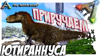 ARK  Survival Evolved - ПРИРУЧЕНИЕ ЮТИРАННУСА! TAMING YUTYRANNUS!