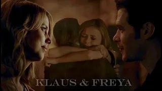 Klaus & Freya || "You are my sister"