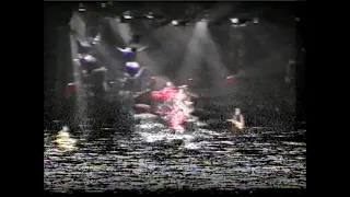 Die Toten Hosen - Live in Berlin (Video) am 14.5.1994